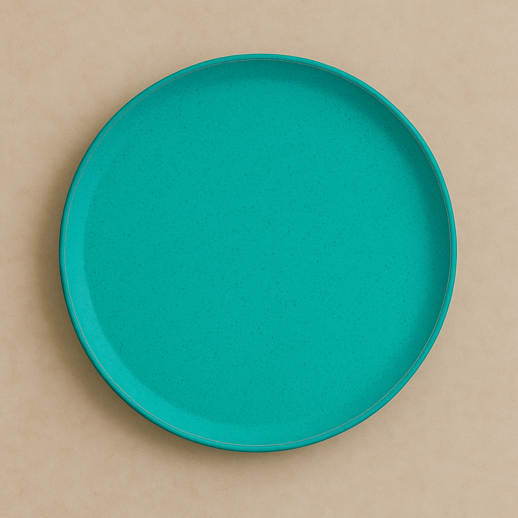 Customized Pottery Tableware plate